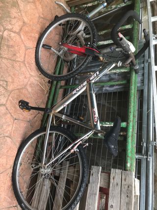 Lote bicicletas
