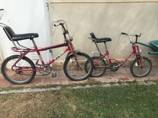 Lote bicicletas