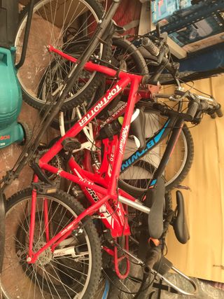 Lote bicicletas