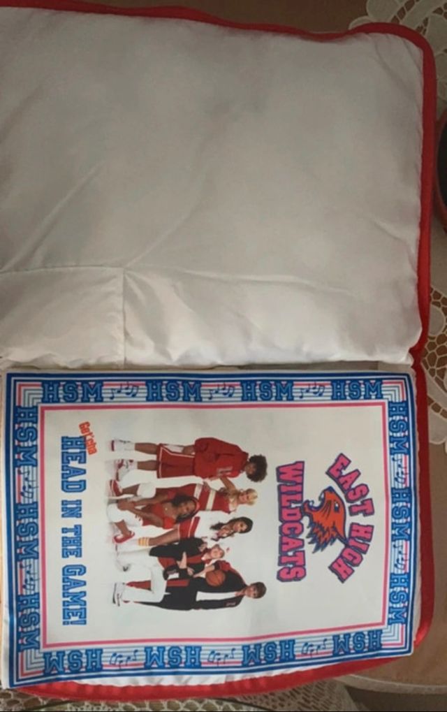 Cojín secreto high school musical