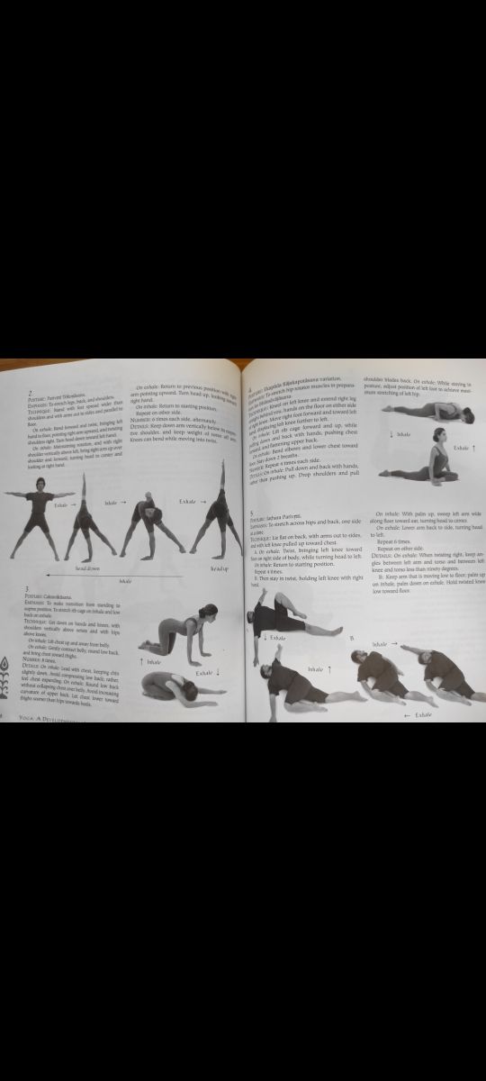 Viniyoga/Yoga for wellness - Gary Kraftsow