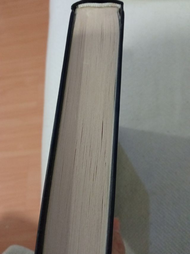 Escondido en las sombras