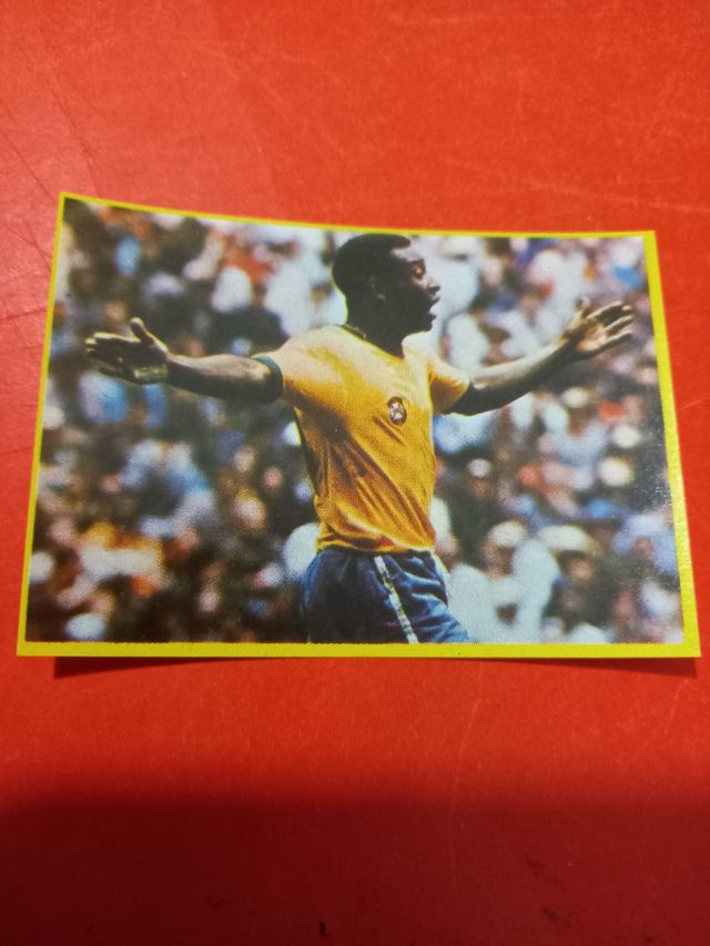 PELE ROOKIE EN PERFECTO ESTADO