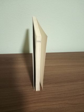 V=Valentina numero 2: Valentina... ¿Famosa?