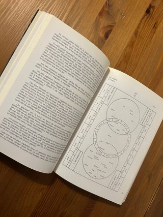 Libro Mal Lara y Lepanto