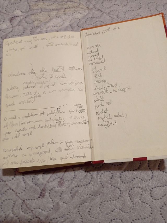 Dizionario LATINO   casa editrice Avallardi