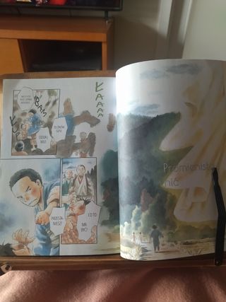 Mushishi 10 Perfect Edition en polaco