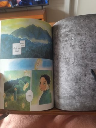 Mushishi 10 Perfect Edition en polaco