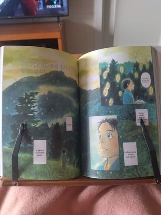 Mushishi 10 Perfect Edition en polaco