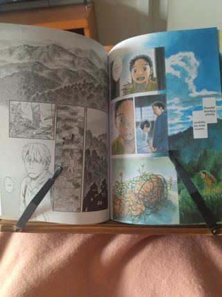 Mushishi 10 Perfect Edition en polaco
