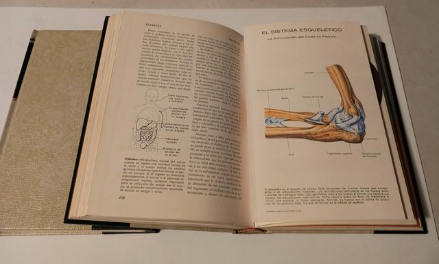 Enciclopedia Familiar de la Medicina y Salud