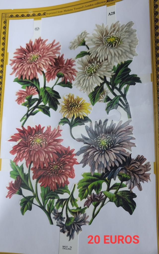 CROMOS DE PICSR ANTIGUOS EN PLIEGOS