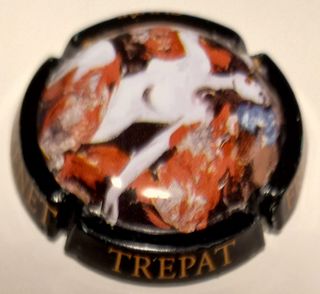 FREIXENET Mil.lesime I TREPAT