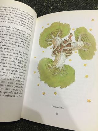 2a mano libro Petit Prince