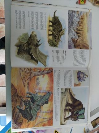 1000 Dinosaurios Libro