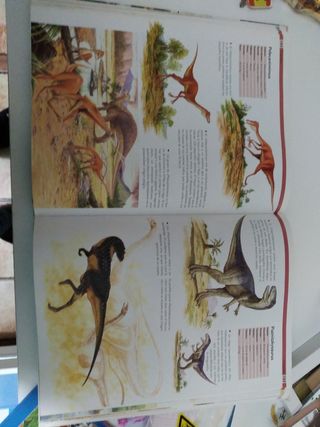 1000 Dinosaurios Libro