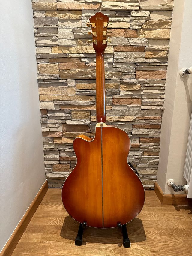 Guitarra electro acústica Ibanez AEL20EVV