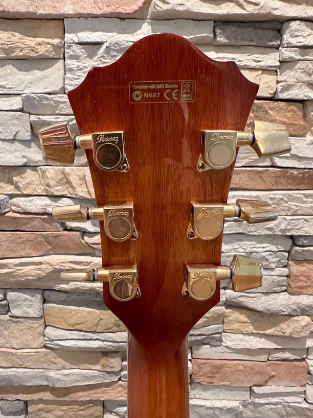 Guitarra electro acústica Ibanez AEL20EVV