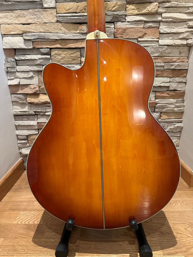 Guitarra electro acústica Ibanez AEL20EVV