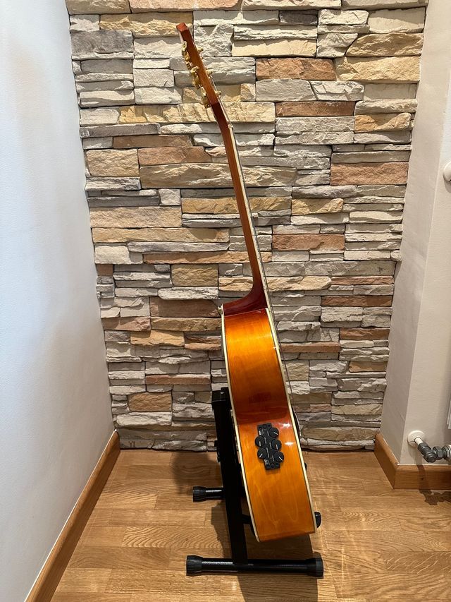 Guitarra electro acústica Ibanez AEL20EVV