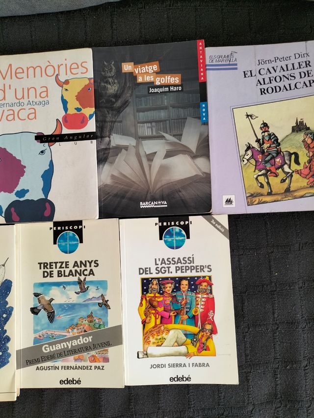 Lote / Lot n° 16 llibres en català per a 10 anys