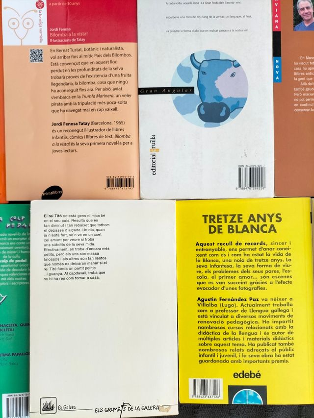 Lote / Lot n° 16 llibres en català per a 10 anys