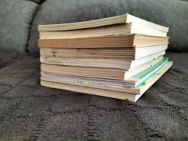 Lote / Lot n° 16 llibres en català per a 10 anys