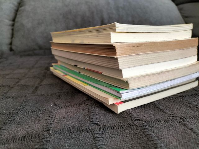 Lote / Lot n° 16 llibres en català per a 10 anys