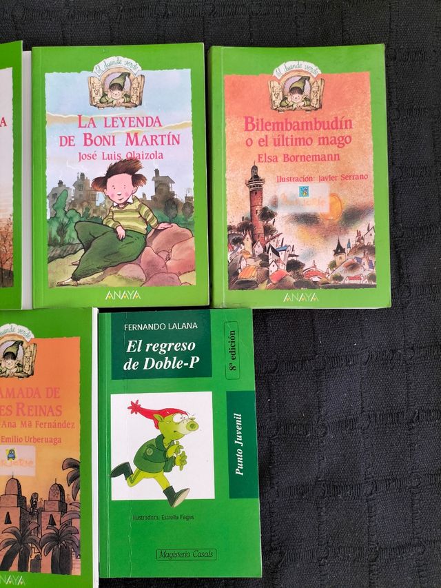 Lote n°18 de libros en castellano para 9 años
