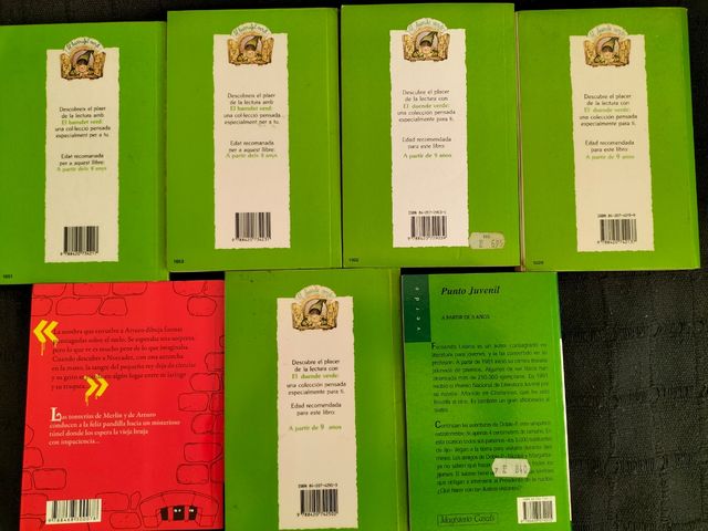 Lote n°18 de libros en castellano para 9 años