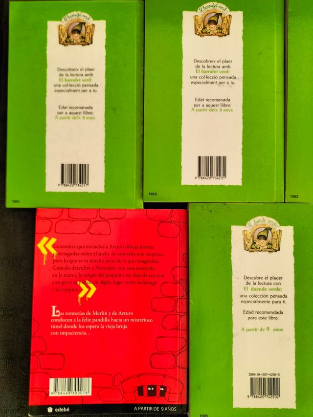 Lote n°18 de libros en castellano para 9 años