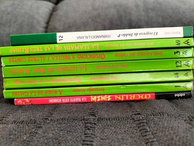 Lote n°18 de libros en castellano para 9 años