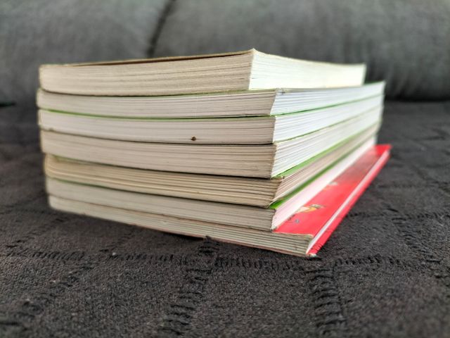 Lote n°18 de libros en castellano para 9 años