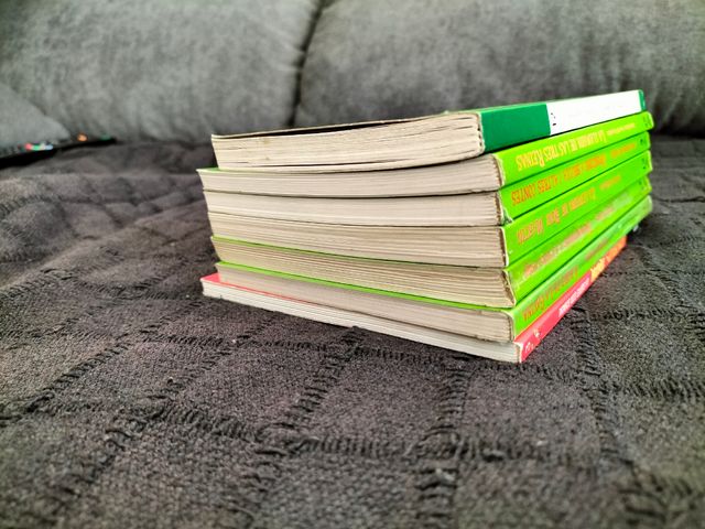 Lote n°18 de libros en castellano para 9 años