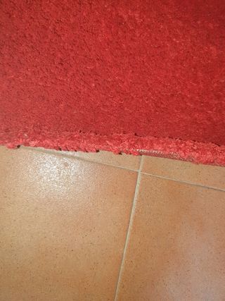 Alfombra Ikea Roja