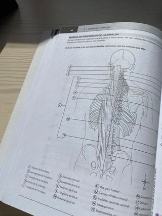 Libro Colorear Anatomía MOSBY