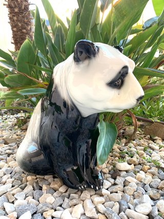 FIGURA OSO PANDA. MANISES CH HISPANIA