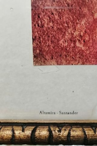 Lote cuadros láminas Altamira