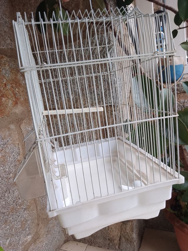jaula pájaros