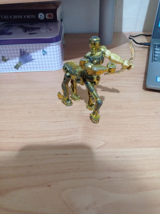 caballero de sagitario