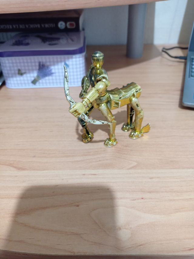 caballero de sagitario