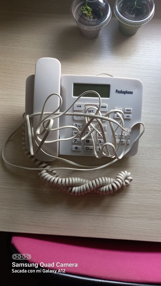 Telefono fijo