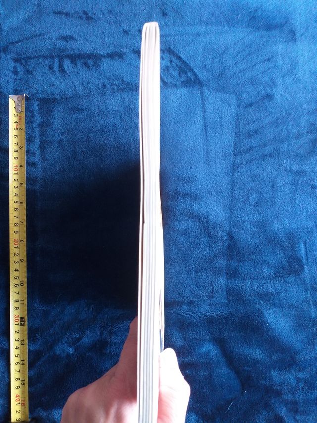 MC Libro cocina Wok Blume