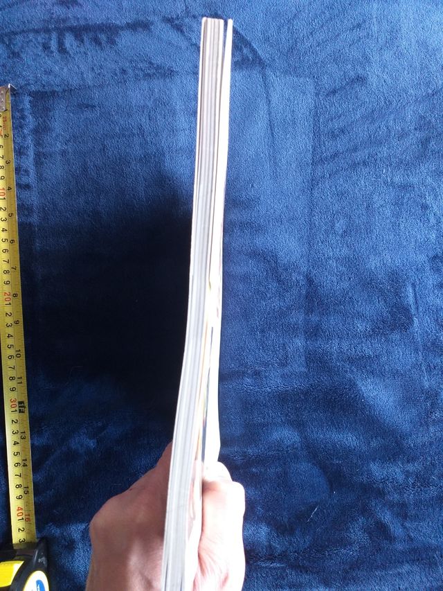 MC Libro cocina Wok Blume