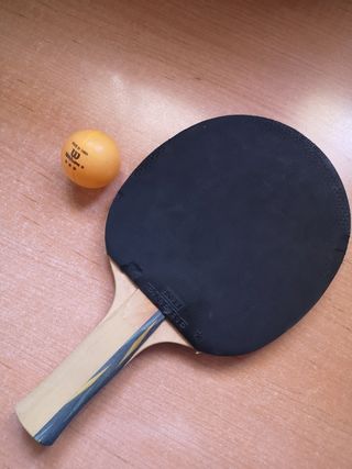 pala ping pong 1 estrella