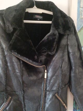 cazadora  Morgan