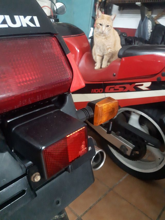 VISERA GSXR 750 GR77.