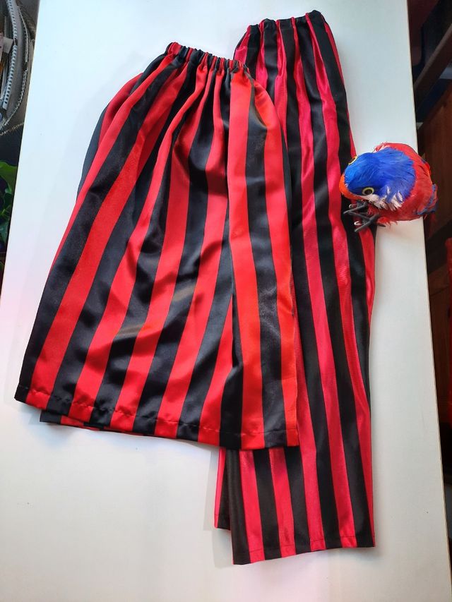 disfraz pirata niño/niña con accesorios