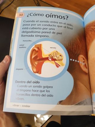 luz y sonido para niños incluye divertidos proyect