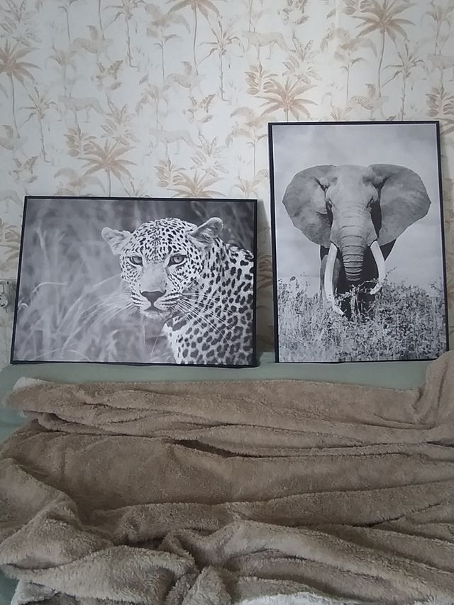 Cuadros se hace envio